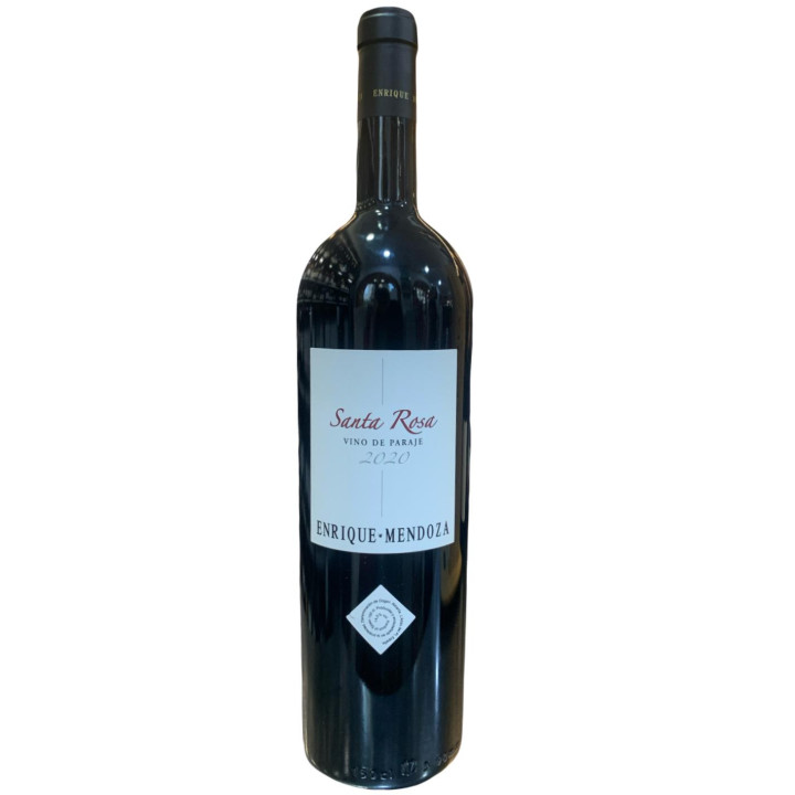 Enrique Mendoza Santa Rosa Magnum | Bodega Bernardino