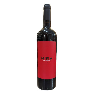 MIRA SALINAS