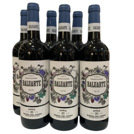 OFERTA 6 BOTELLAS BALUARTE...