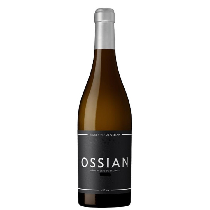 Ossian Verdejo | Bodega Bernardino