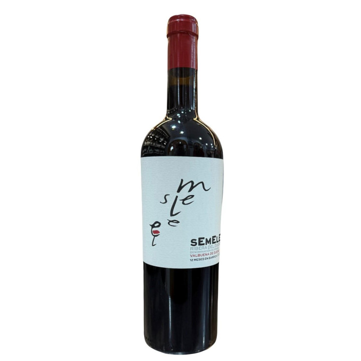 SEMELE VALBUENA DE DUERO
