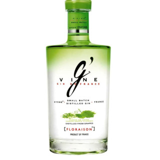 G'Vine 1 Litro | Bodega Bernardino