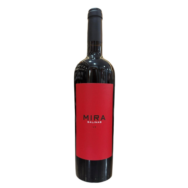 MIRA SALINAS