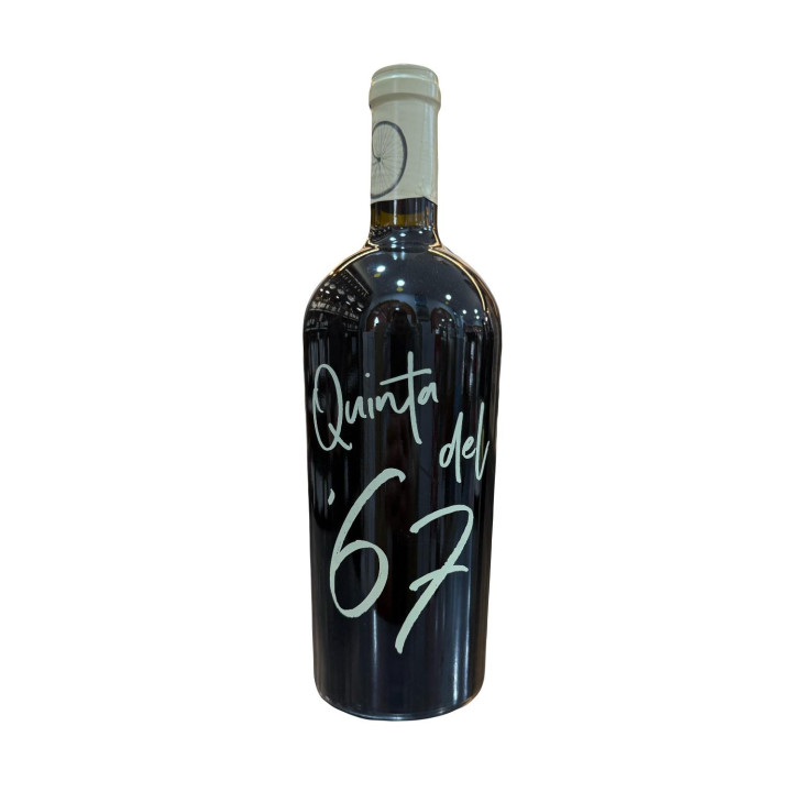 QUINTA DEL 67