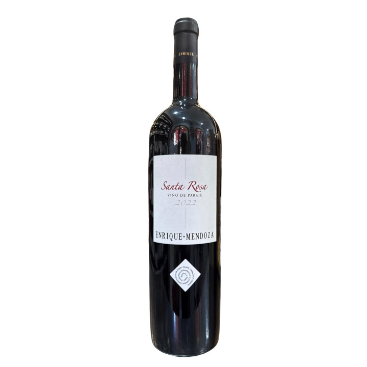 Enrique Mendoza Santa Rosa Magnum | Bodega Bernardino