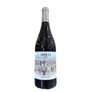 CEPA 21