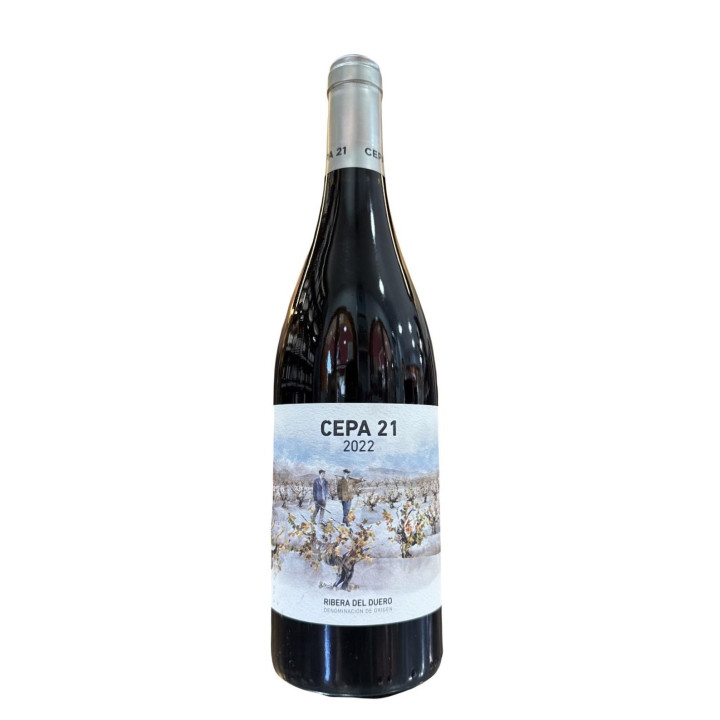 CEPA 21
