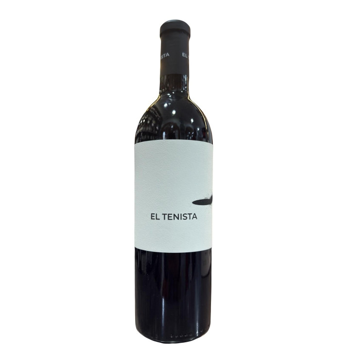 EL TENISTA 