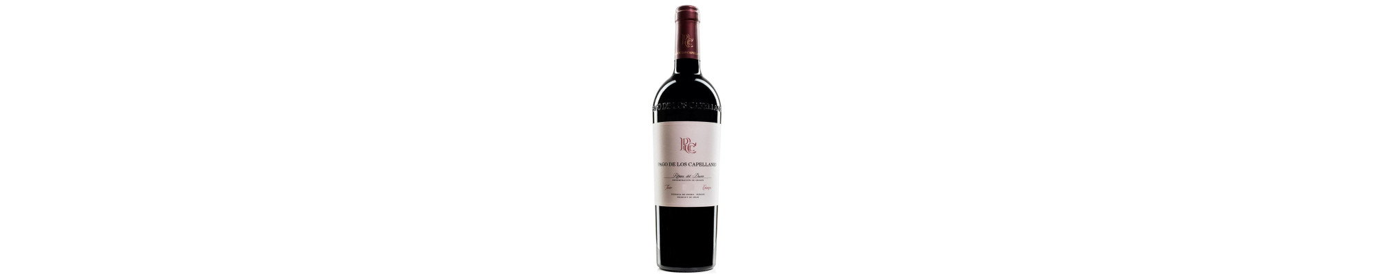 RIBERA DEL DUERO